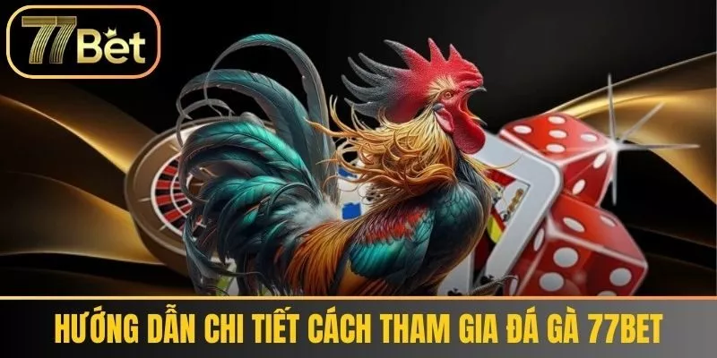 Hướng dẫn chi tiết cách tham gia đá gà 77bet
