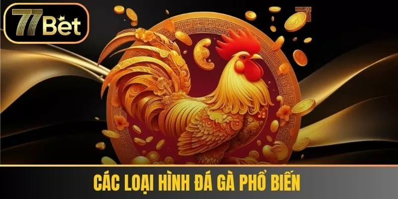 Các loại hình đá gà phổ biến 