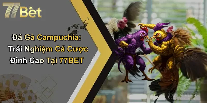 Đá Gà Campuchia: Trải Nghiệm Cá Cược Đỉnh Cao Tại 77BET