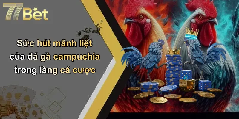 Sức hút mãnh liệt của đá gà campuchia trong làng cá cược