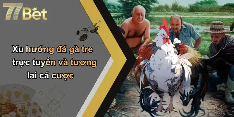 Xu hướng đá gà tre trực tuyến và tương lai cá cược